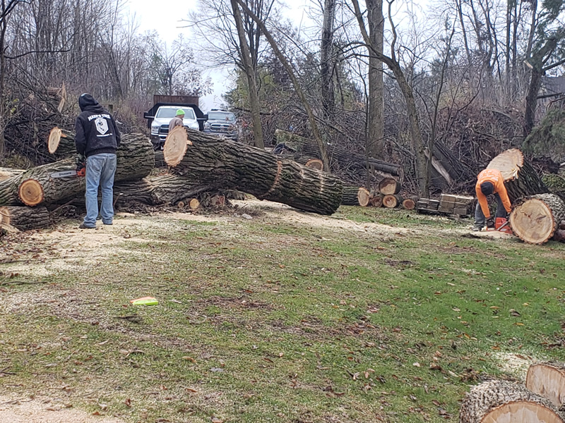/pictures/Trail Clean Up 2018/20181104_084403.jpg